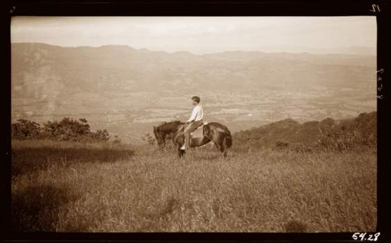 dt.common.streams.StreamServer